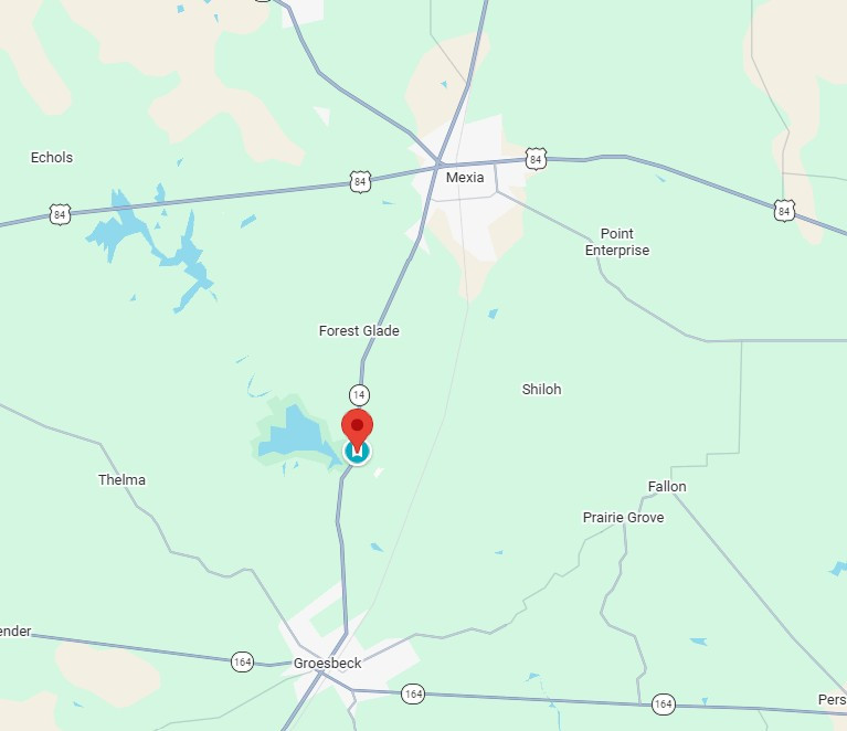 map texas pin